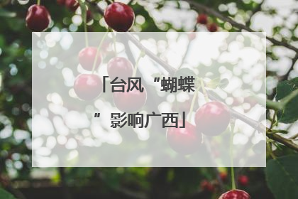 台风“蝴蝶”影响广西